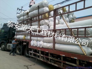 湖州土工布 國際知名品牌的卓越工程解決方案